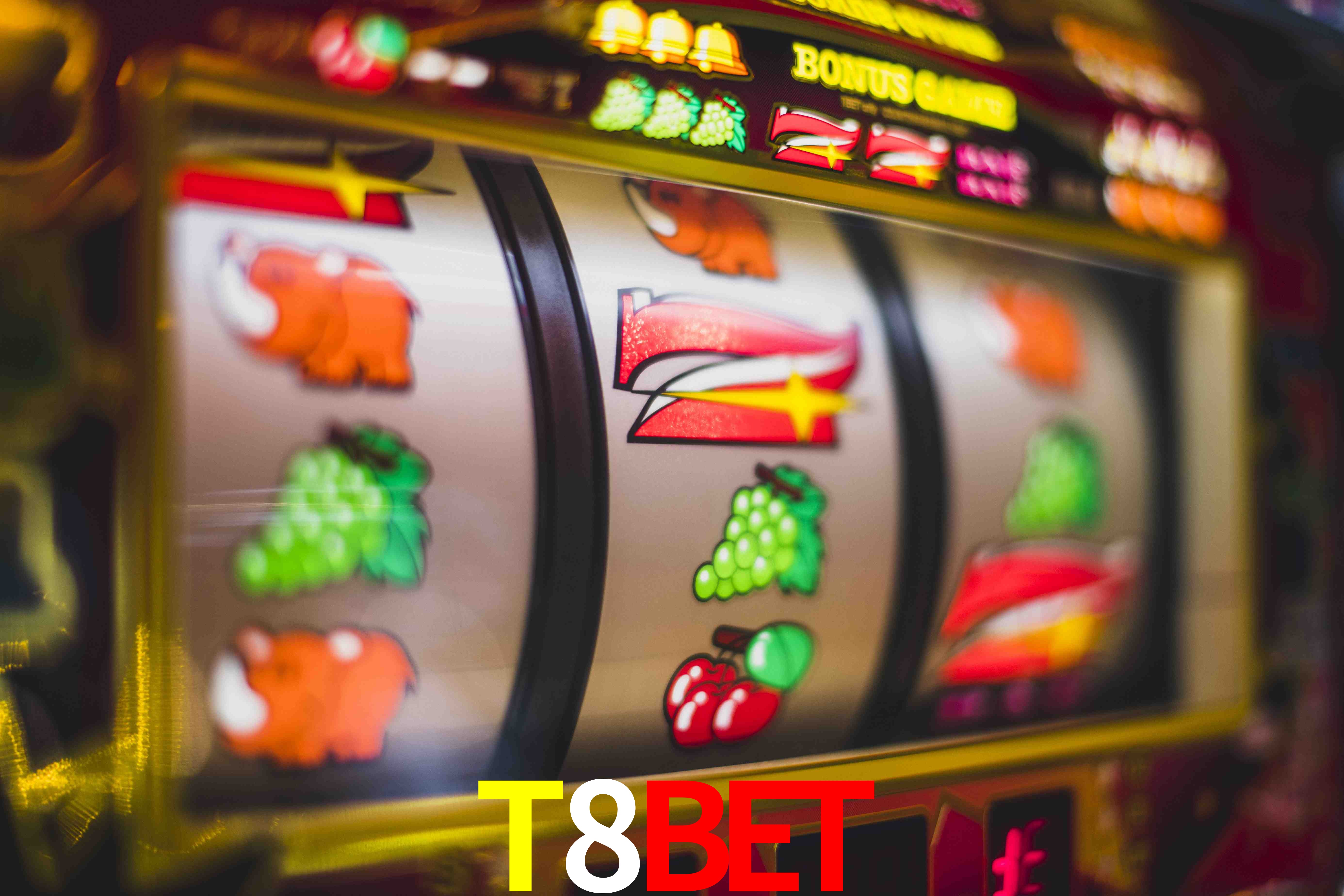 Sports Statistics T8BET